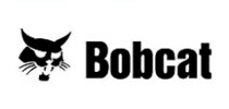Bobcat
